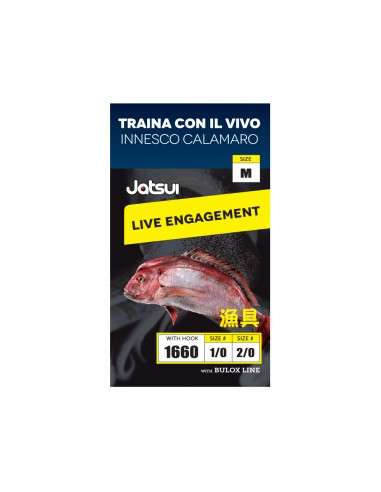 JATSUI LENZA TRAINA VIVO