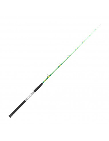 CANNA TICA WASABI STAND UP