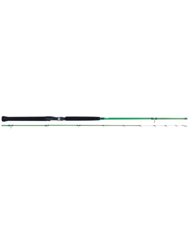 Canna Tica Wasabi Winds Type