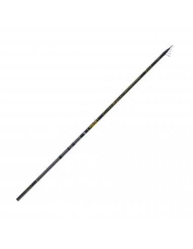 FALCON CANNA CONTESSA SLIM BOLO LIGHT SEA GUIDE