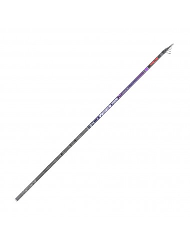 Falcon Venere Viola