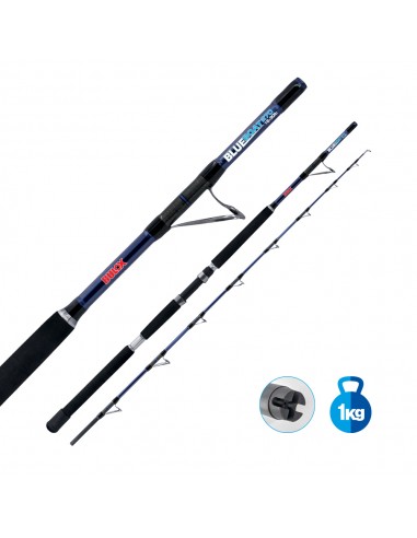 Canna Bulox Blue Boat