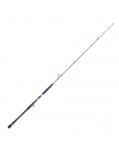 FALCON GROUPER