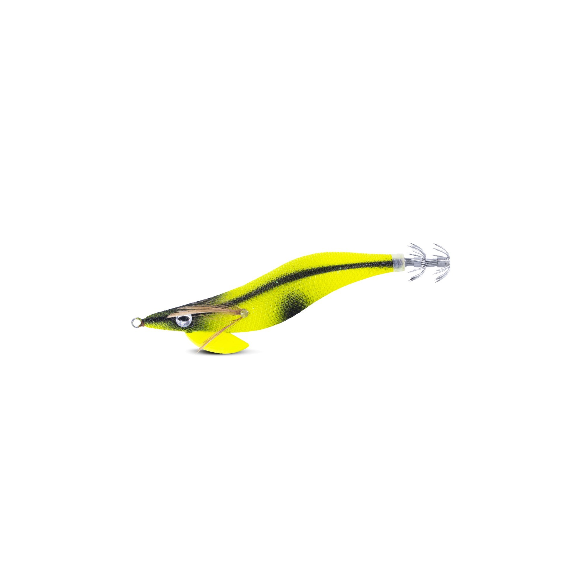 KABO SQUID SEASHORE