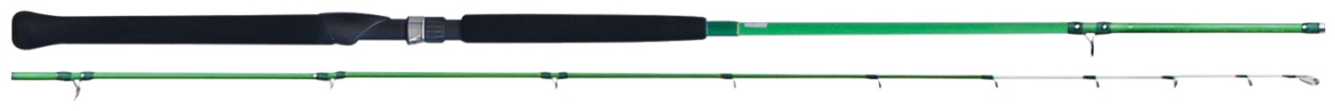 Canna Tica Wasabi Winds Type